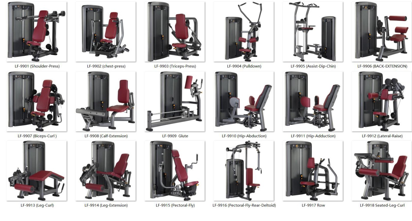 Like Fitness-Insignia